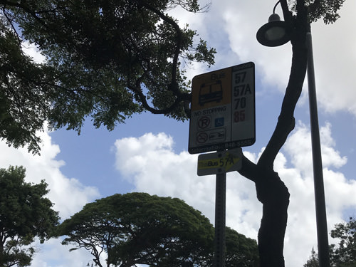 カイルアショッピングセンター バス停