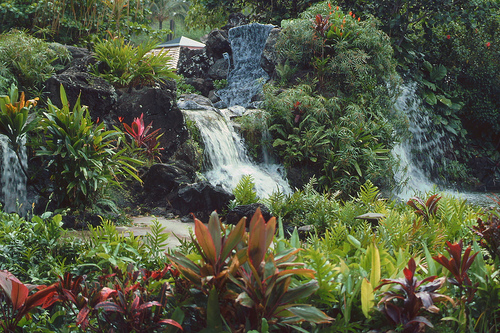 シーライフパーク