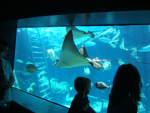 シーライフパーク