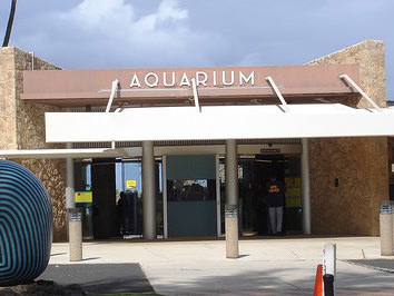 ワイキキ水族館