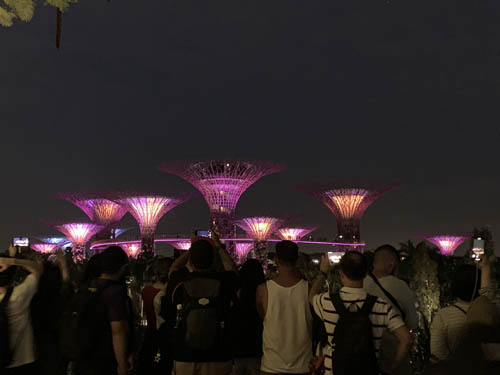 ガーデン ラプソディー