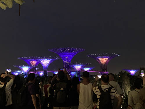 ガーデン ラプソディー