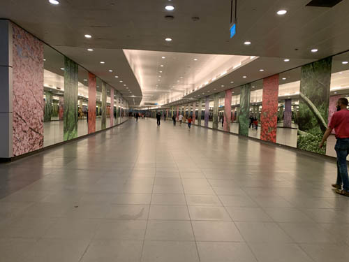 ガーデン ラプソディー